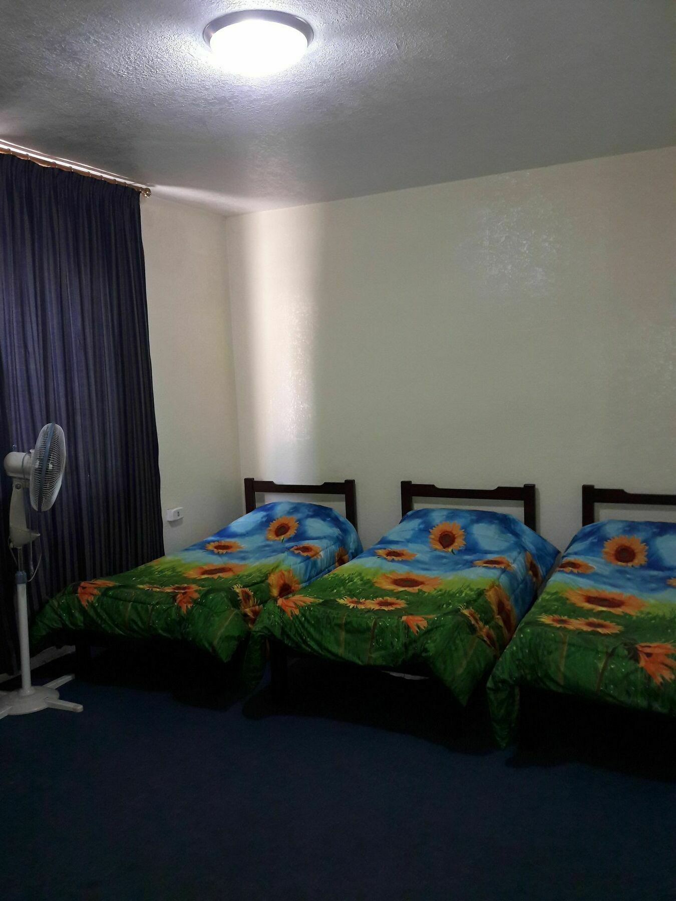 Appartement Sami *